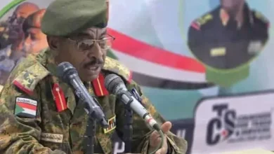 The plans against Sudan failed and the good news of victory showed many implications that had dimensions ✍️ Staff Colonel Hafez Al-Himim