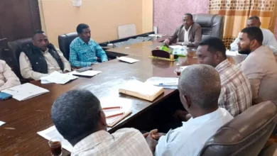 Dalgo Executive Committee Chairs November Resource Discussion Meeting