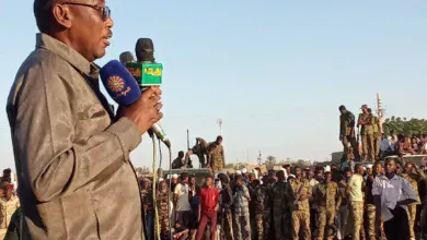 Executive Shendi: All plans of international and regional aggression against Sudan resulted in the professionalism of the armed forces