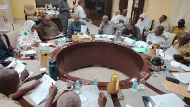 Gedaref State Government Meeting Decides to Light Border Villages with Solar Energy, Review Suspended Projects