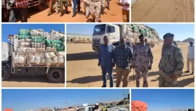 Northern State Control, Wadi Halfa branch, seizes contraband medicines and chemicals for human use