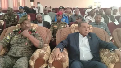 Northern governor announces launch of Tangasi region reconstruction effort with four million bricks