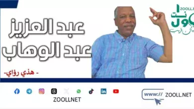 O Sudanese... loosen the reins to multiply - these are my visions - ✍️ Abdel Aziz Abdel Wahab