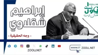 The Montreux Initiative in exchange for national opportunities to achieve peace in Sudan - The face of truth - ✍️ Ibrahim Shaqlawi