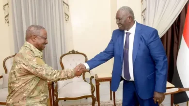 The Vice President of the Sovereignty Council meets the Committee of Alert and Resistance in South Kordofan