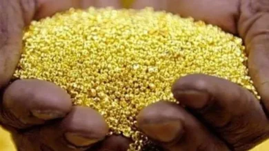 With the aim of providing distinguished services, we launched the unified Sudan window for gold exports in Port Sudan.