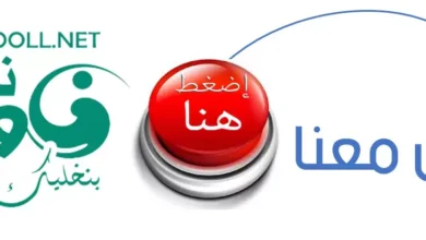 A campaign to eliminate violations, negative phenomena and hoardings in the new livestock market in Damar (photos)