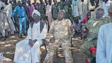A vertical vertical in the blue Nile mountains celebrates the victories of the armed forces