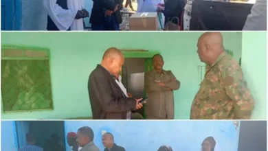 After the citizens return to the Moya Mountains, Sennar's Minister of Health takes care of the citizens' needs and manages the hospital.