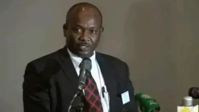 An economic expert reveals Sudan's abilities to advance the world economy and recover from the post-war crisis