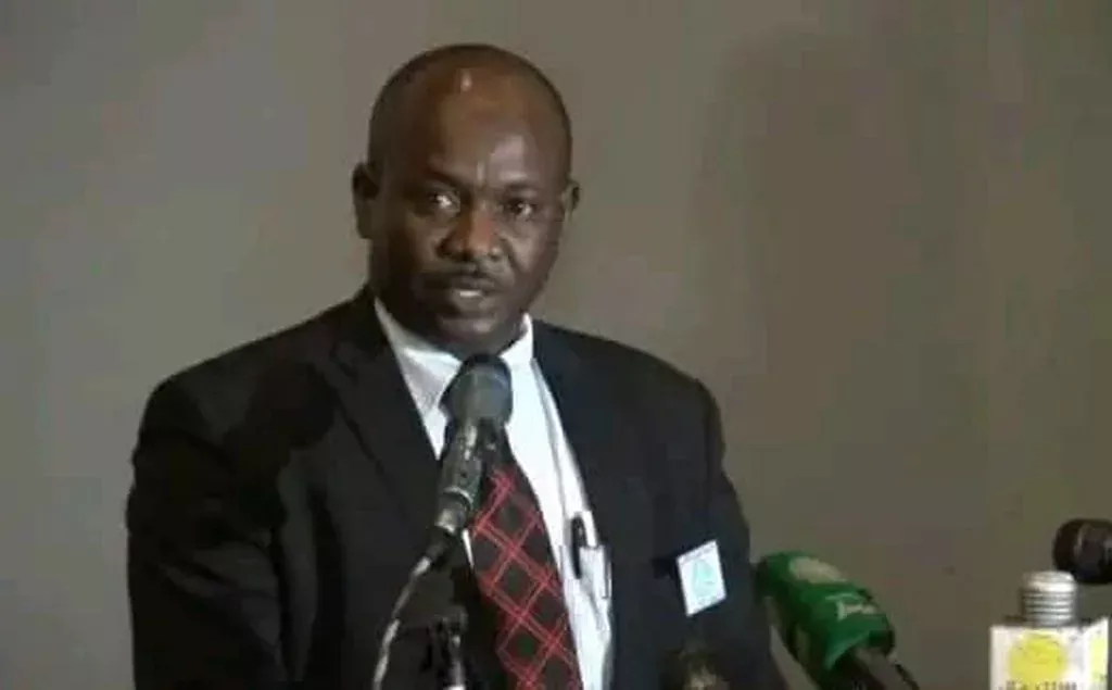 An economic expert reveals Sudan's abilities to advance the world economy and recover from the post-war crisis