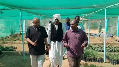 CEO of Chican Locality: Al -Jabra Al -Jabraa Project, its strategic genius lies in fighting hunger in partnership