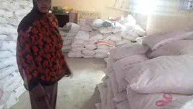 Continued support for returnees. The Sinnar Humanitarian Aid Commission delivers 2,000 bags of flour to the town of Sinja
