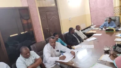 Dilo Executive chairs the meeting of the local resources committee