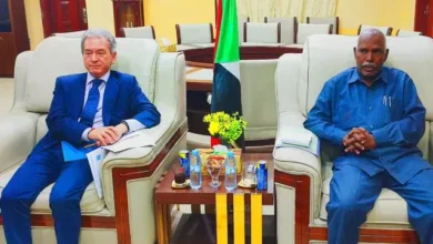 Gedaref's vice-governor discusses with the funding of the UNDP of development projects worth 10 million dollars