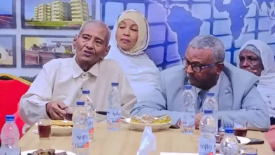 Guest director of the general authority for radio and national television at the general administration of culture and information in the locality of Shendi and the radio Shendi