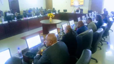 Militia targets Dongola transfer station with 10 marches