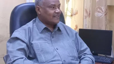 Nile Deputy Governor: Domestic and foreign participation in investment forum establishes major industrial renaissance in the country