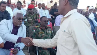 Nile Governor: International and regional participation in investment forum in the state later this month