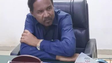 Nile Investment Minister: State contains more than twenty important minerals and produces 65% of Sudan's gold production