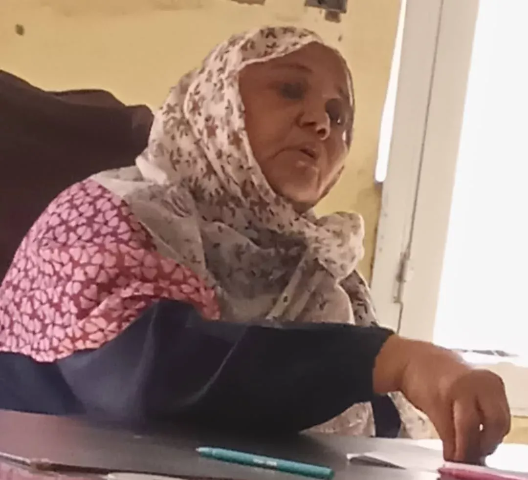 Nile government approves investment plan and Shindi industrial city