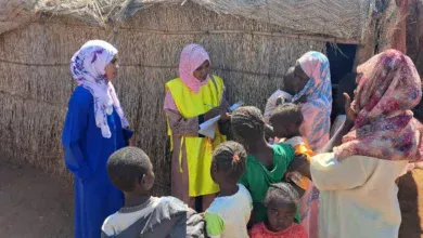 Sennar Health Implements Activities to Mobilize Community for Integrated Disease Vector Control Project