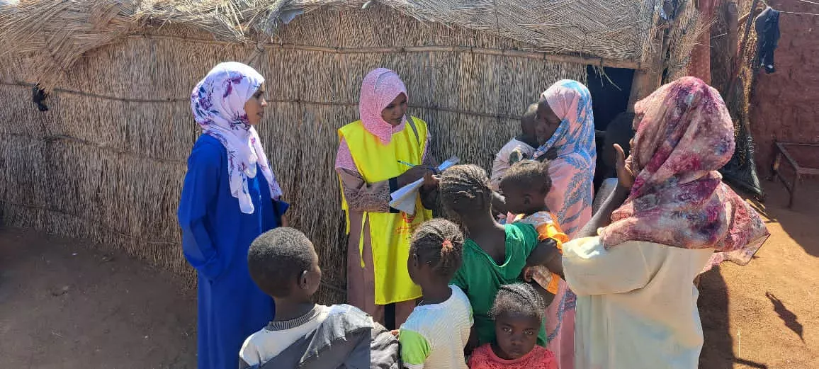 Sennar Health Implements Activities to Mobilize Community for Integrated Disease Vector Control Project