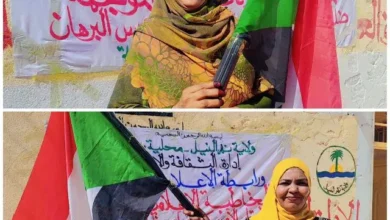 Shindi, president of the Expatriate Media Association. If 99% of the Sudanese people are behind the leadership, then 1% is the result of these decisions.