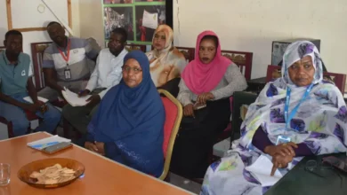 Sinnar Child Protection Council: assurances to intensify response to meet humanitarian child protection needs