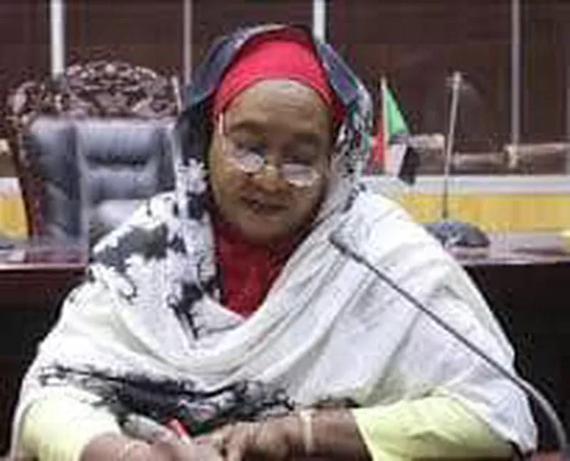 The Minister of Youth and Sports makes an important declaration to the Sudanese people on the victories of the army