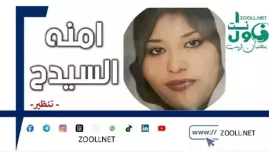 The Nile Forum. Organization stages - Theorization - ✍️ Amna al -sayyid