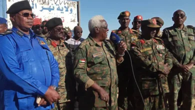 The Nile announces that an industrial city has a honey stone after less than a week after being announced without pocket rebellion