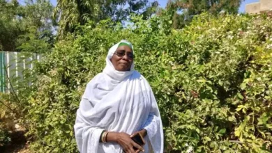 The director of management of the gardener sector, province of Sennar: the production of gardeners does not and will not stop