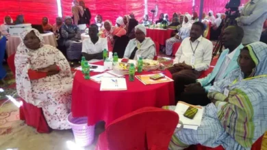 The feminist forum for blue Nile ... is pollinated by ideas and improving partnerships