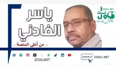 The island is extended and does not live! - from the top of the platform - ✍️ Yasser al -fadni