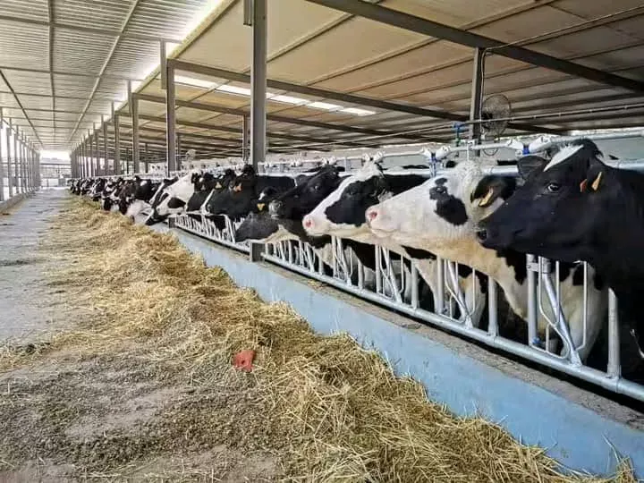 Veterinary expert calls on Nile River Investment Forum to benefit from global experiences in animal production