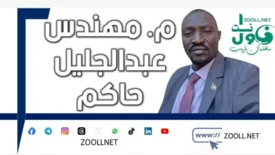 Why did the militias insist on overthrowing El Fasher???? - Firefly Flyer - ✍️ Engineer Abdul Jalil Hakim