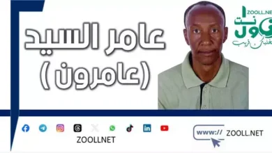 Au Lustres ✍️ Amer al-Sayed (Ameron)