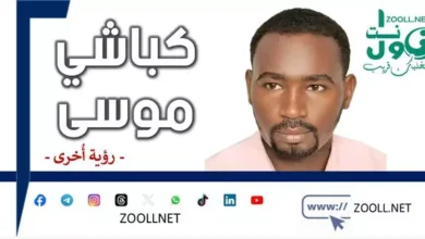 Can the government of West Kordofan return the map of obstacles and challenges to strategies? - Another vision - ✍️ Kabashi Musa