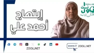 Electric pain - Shehab Thaqib - ✍️ Ahmed Ali's Joy