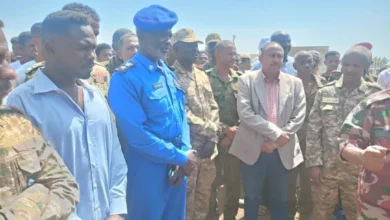 In preparation for the opening of the Minister of Health in charge of Sennar, he is at the Ice Ruphi hospital in the locality of Dandar