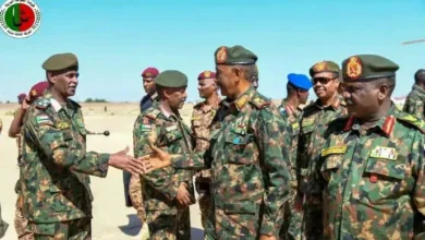 The bear executive receives a member of the sovereign council Abdullah Yahya (Shatta)