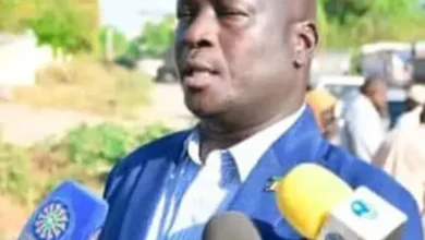 The blue nile .. the militia and the rebel movements are denounced by Joseph Tuka