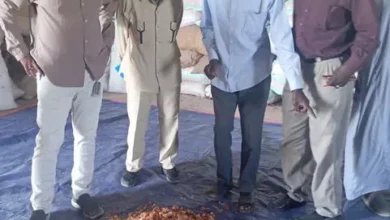 The general administration of the marketing of crops in the blue Nile ... Understanding and stages to export agricultural and forest cultures