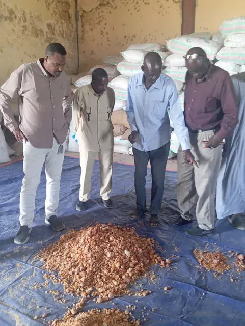 The general administration of the marketing of crops in the blue Nile ... Understanding and stages to export agricultural and forest cultures