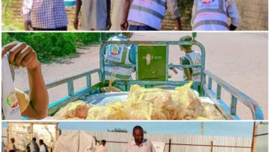 The organization of young people continues to support the displaced states of Khartoum, Al -jazeera and Sennar in Al -Qadarif