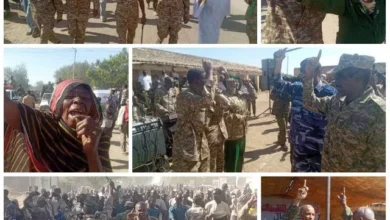 The popular resistance, the state of Sennar, the graduates (750), mobilized, mobilized, and the governor of Sennar confirms that the Sudanese people do not soften a thorn and cannot be broken.