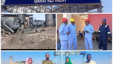 The road to the jelly refinery .. (a section we will come back to its first biography) ✍️ Naglaa Abnouf