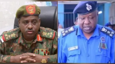 The stock of stock and control of foreign prevention in the state of the Red Sea: the start of the recording and the inventory tomorrow, Sunday, at the Philip Center