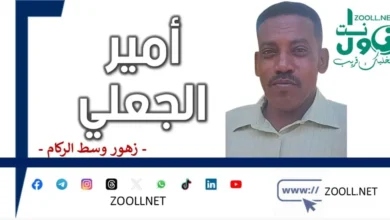 Transparency helps the Nile to reach the zero cholera ✍️ Prince al -Jali